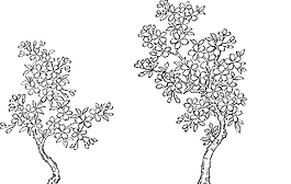 线描Sakura矢量素材图片