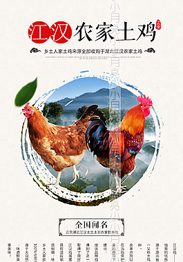 土鸡详情页