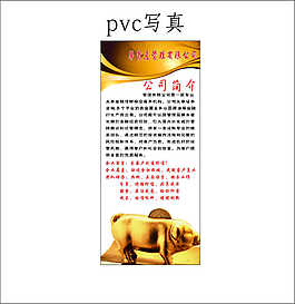 公司简介
