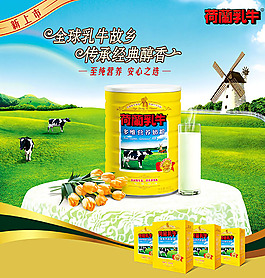 荷兰乳牛奶粉海报