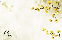 黄色的梅花