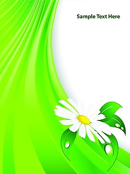 花朵设计图