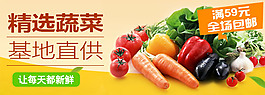 精选蔬菜 基地直供
