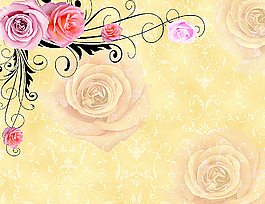 小清新背景墙图片