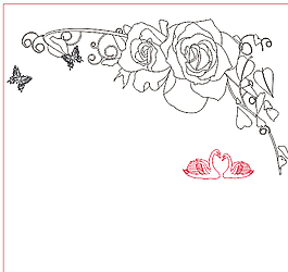 玫瑰花图片