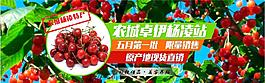 淘宝海报 全屏 樱桃 车匣子