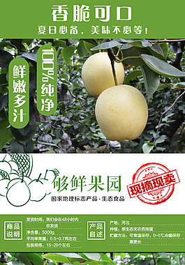 梨子详情 皇冠梨详情