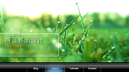 网页登录界面