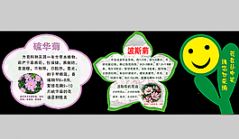 波斯菊图片