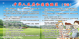 婚姻法图片