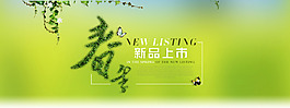 绿色春天淘宝海报