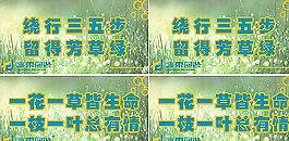保护小草图片