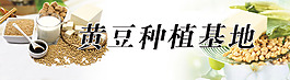 黄豆种植基地psd格式大图