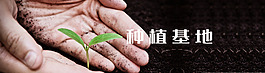 植物种植基地PSD素材