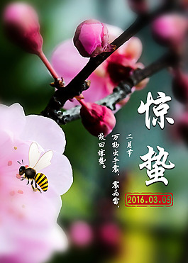 惊蛰节气海报