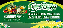 有机蔬菜