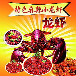 龙虾图片