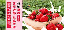 草莓