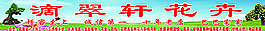 滴翠轩花卉店图片