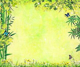 绿色背景图片