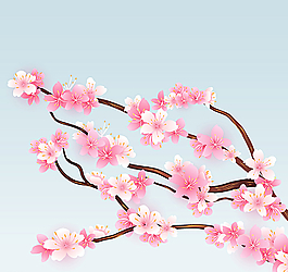 樱花图片