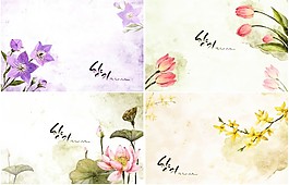 手绘花卉