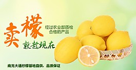 淘宝首页海报大通柠檬设计