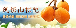 南充凤垭山枇杷海报设计