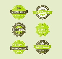 6款绿色有机食品标签矢量素材