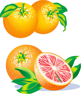 橙子