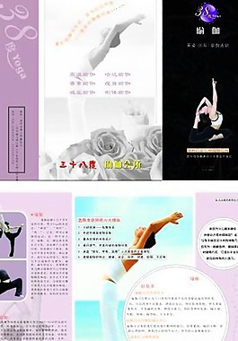 美体折页图片