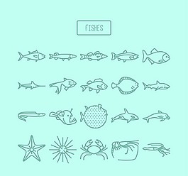 海洋生物矢量