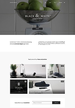 国外企业网页模板 首页页面 网站模板