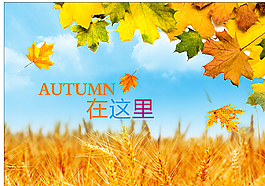 玻璃贴图片