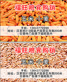 粮食  收购  名片图片