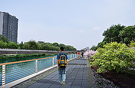 园林景观河道滨水绿化图片