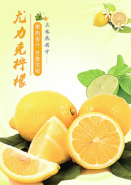 柠檬图片