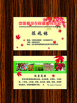 中国枫茂图片
