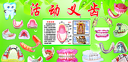 义齿展板图片