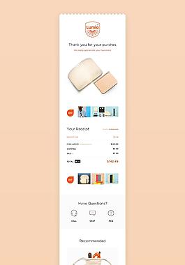 Email Receipt psd
