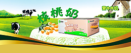 核桃奶