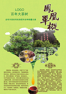 凤凰单丛宣传DM