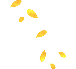 金色树叶漂浮元素