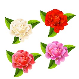 花朵设计图
