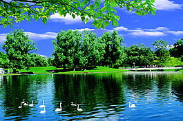 风景
