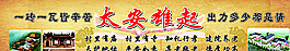 太安雄起图片