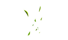树叶漂浮元素
