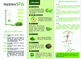 活力元逍遥果三折页
