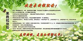 学校 绿色展板 校园展板PSD免费下载