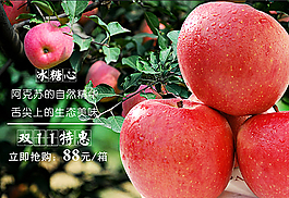 阿克苏冰糖心苹果图片